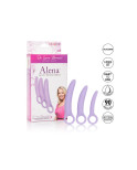 CALIFORNIA EXOTICS - DR LAURA BERMAN ALENA SET DI 3 DILATORI IN SILICONE CALIFORNIA EXOTICS - DR LAURA BERMAN ALENA SET DI 3 DILATORI IN SILICONE