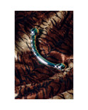 Dildo Le Wand Bow Argentato