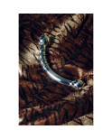 Dildo Le Wand Bow Argentato