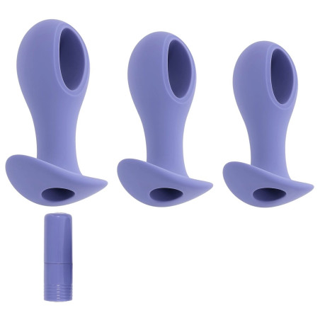 Plug Anale Evolved Viola (8,9 cm) (9,5 cm) (10,1 cm)