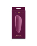 Massaggiatore erotico NS Novelties Secrets Rosso