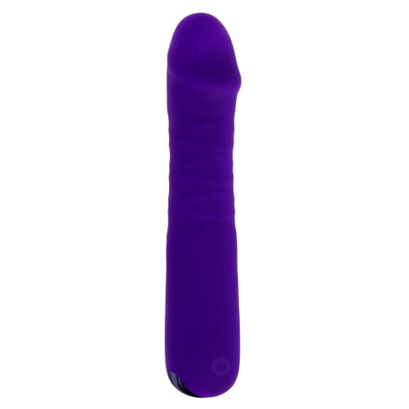 Vibratore Tradizionale Evolved Selopa Viola