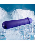 Vibratore Tradizionale Evolved Selopa Viola