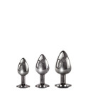 Plug Anale Evolved Argentato