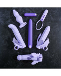 Vibratore Mini Evolved Lilac Desires Viola