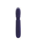 Vibratore Mini Evolved Viola