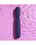 Vibratore Mini Evolved Viola