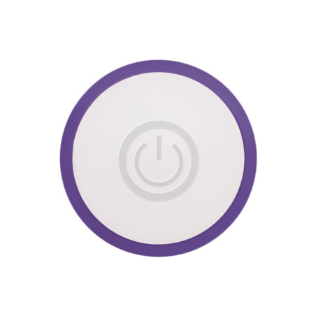 Mini Vibratore Evolved Slim Viola