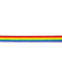 PRIDE - STRISCIA BANDIERA LGBT PRIDE - STRISCIA BANDIERA LGBT