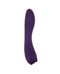 Vibratore Evolved Viola