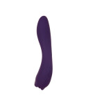 Vibratore Evolved Viola