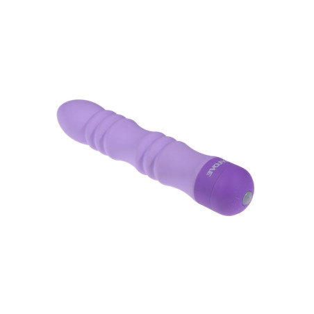 Vibratore Mini Evolved Viola
