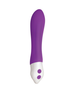 Vibratore Mini Evolved Viola