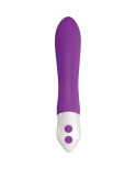 Vibratore Mini Evolved Viola
