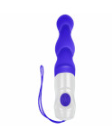Vibratore Anale Evolved Viola