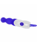 Vibratore Anale Evolved Viola