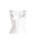 Pinze per Capezzoli NS Novelties V1