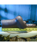 Dildo Realistico Gender X Gender X TPE Ø 4 cm