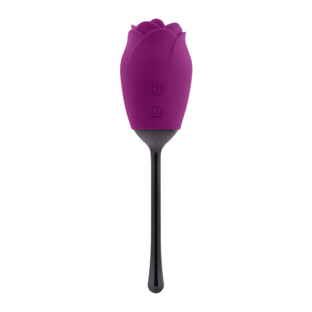 Stimolatore per il Clitoride Playboy Playboy Viola