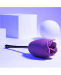 Stimolatore per il Clitoride Playboy Playboy Viola