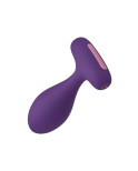 Plug Anale FemmeFunn Plua Viola