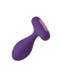 Plug Anale FemmeFunn Plua Viola