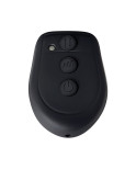 Vibratore per il Punto-G Evolved Nero