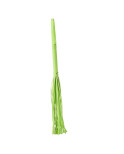 Frustino Dream Toys Radiant