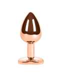 Plug Anale S Pleasures Azzurro