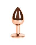 Plug Anale S Pleasures