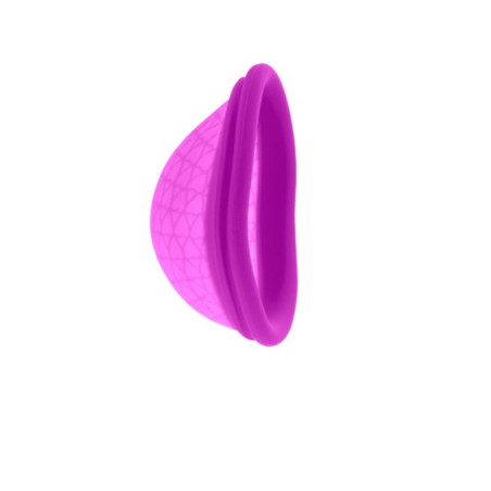 Coppetta Mestruale Femme Republique (L)