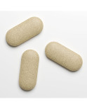 Compresse Penis XL Cobeco XL