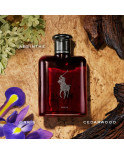 Profumo Uomo Ralph Lauren Polo Red EDP 75 ml Profumo Uomo Ralph Lauren Polo Red EDP 75 ml