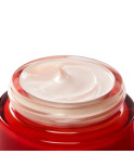Crema Giorno Vichy LIFTACTIV 50 ml Crema Giorno Vichy LIFTACTIV 50 ml