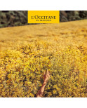 Deodorante L'Occitane En Provence Homme 50 ml Roll-On Deodorante L'Occitane En Provence Homme 50 ml Roll-On