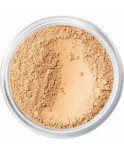 Base per il Trucco in Polvere Shine Inline Original Nº 07-golden ivory Spf 15 (8 g) Base per il Trucco in Polvere Shine Inline Original Nº 07-golden ivory Spf 15 (8 g)