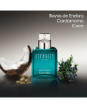 Profumo Uomo Calvin Klein Eternity Aromatic Essence EDP 200 ml Profumo Uomo Calvin Klein Eternity Aromatic Essence EDP 200 ml
