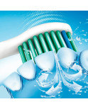Testina di Ricambio Philips HX6018/07 Bianco 8 Unità