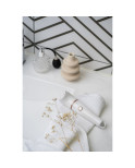Spazzola per pulizia viso Adler AD 2178 1 Pezzi Spazzola per pulizia viso Adler AD 2178 1 Pezzi