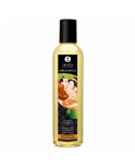 SHUNGA - KIT COLLEZIONE DOLCI BACI SHUNGA - KIT COLLEZIONE DOLCI BACI