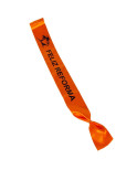FEMARVI - HAPPY REFORMA BAND /PT FEMARVI - HAPPY REFORMA BAND /PT