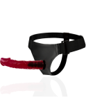 HARNESS ATTRACTION - RNES BRANT 19 CM -O- 4 CM HARNESS ATTRACTION - RNES BRANT 19 CM -O- 4 CM