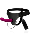 HARNESS ATTRACTION - RNES WALTER CON VIBRAZIONE 15.5 CM -O- 3.7 CM HARNESS ATTRACTION - RNES WALTER CON VIBRAZIONE 15.5 CM -O- 3.7 CM