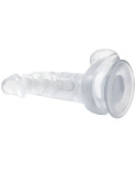 BAILE - DILDO REALISTICO CON VENTOSA E TESTICOLI 16.7 CM TRASPARENTE BAILE - DILDO REALISTICO CON VENTOSA E TESTICOLI 16.7 CM TRASPARENTE