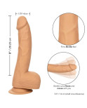 CALIFORNIA EXOTICS - BORCHIE IN SILICONE 20.32 CM PELLE CALIFORNIA EXOTICS - BORCHIE IN SILICONE 20.32 CM PELLE