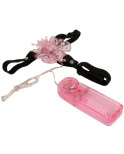 BAILE - IMBRAGATURA CON FARFALLA VIBRANTE A MULTIVELOCIT BAILE - IMBRAGATURA CON FARFALLA VIBRANTE A MULTIVELOCIT