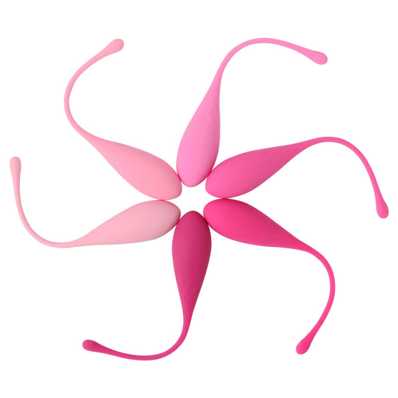 LESLIE - SET PER ALLENAMENTO MUSCOLI PELVICI KEGEL FIT 6 PEZZI LESLIE - SET PER ALLENAMENTO MUSCOLI PELVICI KEGEL FIT 6 PEZZI