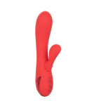 CALIFORNIA EXOTICS - PALISADES ROSSO PASSIONE CALIFORNIA EXOTICS - PALISADES ROSSO PASSIONE