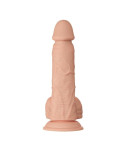 BAILE - BELLISSIMO INCONTRO DILDO REALISTICO FLESSIBILE BAHAMUT 21.8 CM NATURALE BAILE - BELLISSIMO INCONTRO DILDO REALISTICO FLESSIBILE BAHAMUT 21.8 CM NATURALE