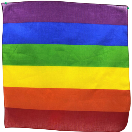 PRIDE - LGBT SCARF 50 X 53